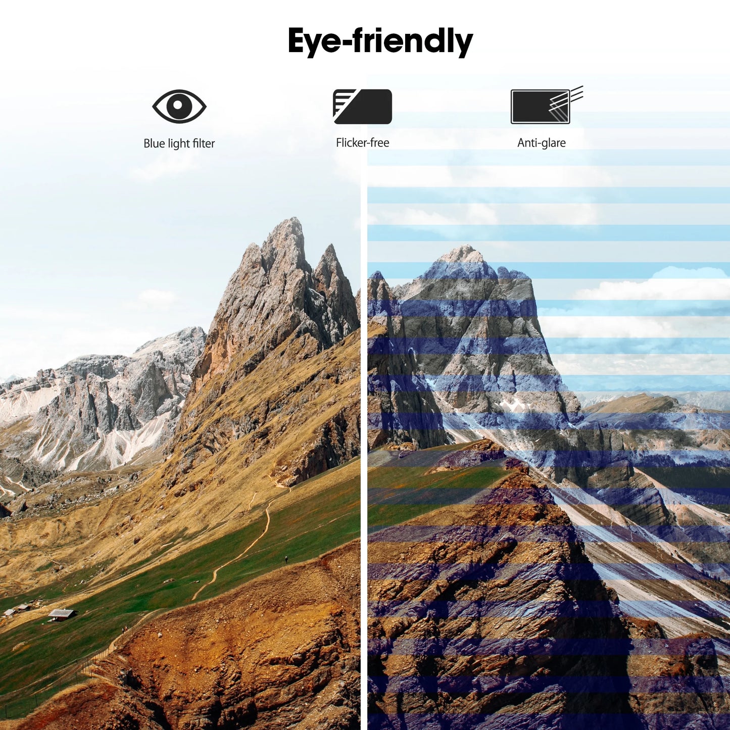 22" FHD 100 Hz Computer Monitor, PC Monitor with Adaptive-Sync, E2212F, New